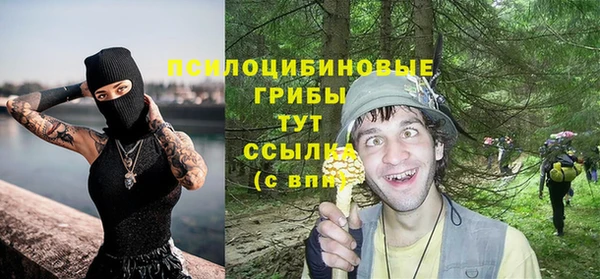 сатива Покачи