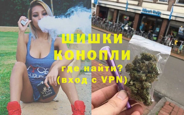 молекула духа Балахна