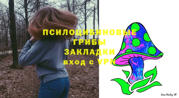 дмт Баксан