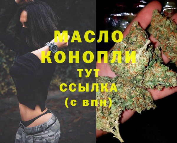 молекула духа Балахна